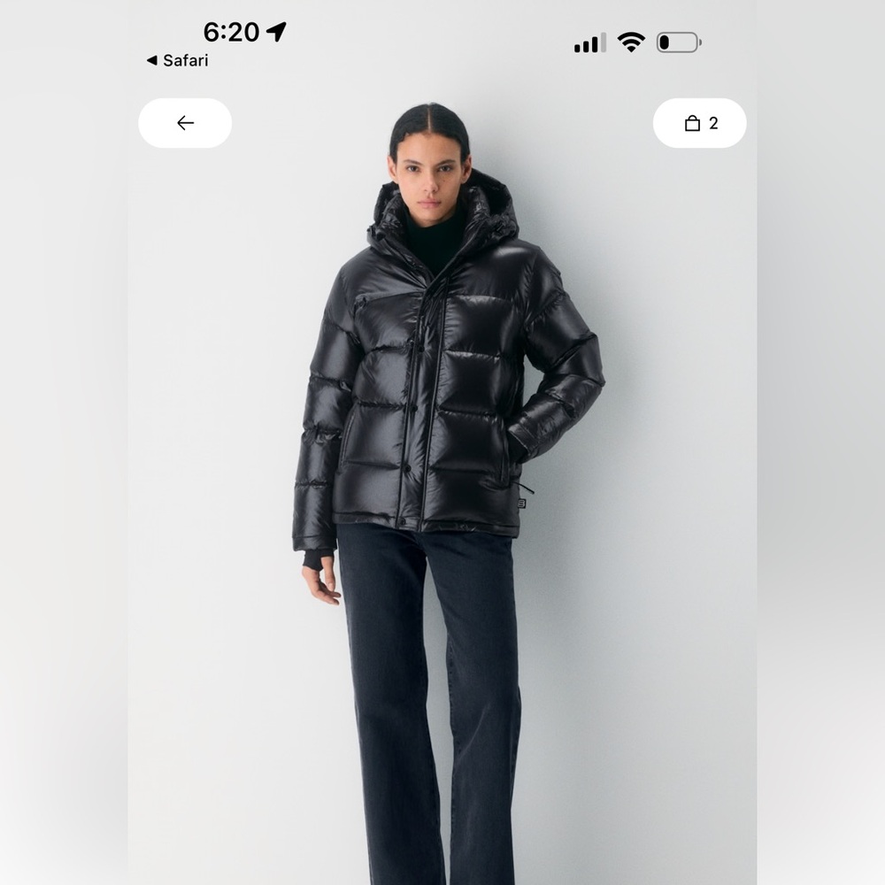 Aritzia Black Puffer Jacket